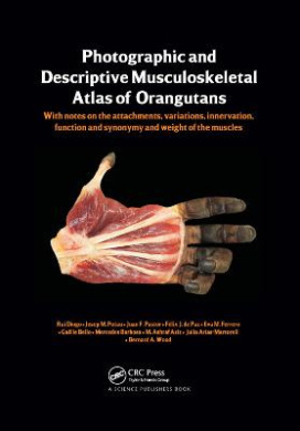 Photographic and Descriptive Musculoskeletal Atlas of Orangutans: with notes on the attachments, variations, innervations, function and synonymy and weight of the muscles cover