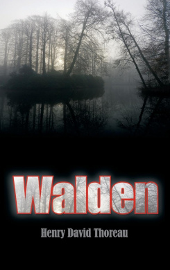 Walden cover