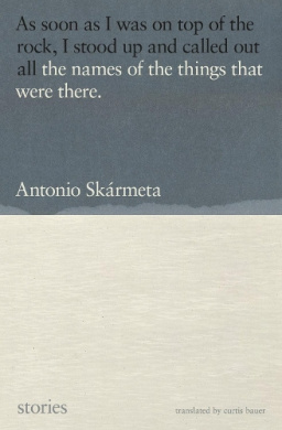 The Names of the Things That Were There: Stories cover