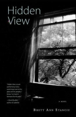 Hidden View cover