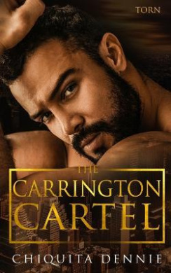 Torn: A Forbidden Age Gap Dark Mafia Romance cover