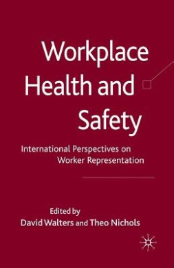 Workplace Health and Safety: International Perspectives on Worker Representation: 2009 cover