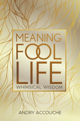 Meaningfool: Life cover