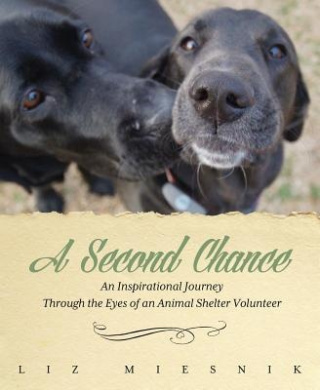 A Second Chance: An Inspirational Journey through the Eyes of an Animal Shelter Volunteer cover