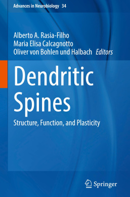 Dendritic Spines: Structure, Function, and Plasticity (Advances in Neurobiology) cover