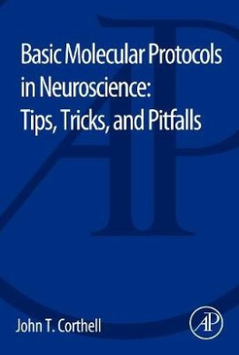 Basic Molecular Protocols in Neuroscience: Tips, Tricks, and Pitfalls cover