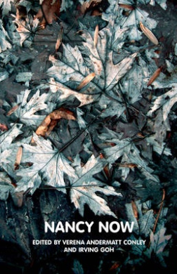 Nancy Now (Theory Now) cover