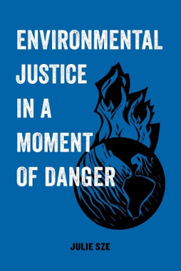Environmental Justice in a Moment of Danger (American Studies Now: Critical Histories of the Present) cover