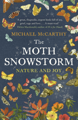 The Moth Snowstorm: Nature and Joy cover