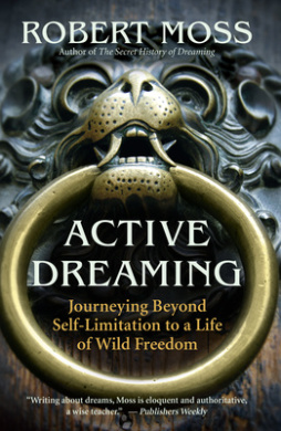 Active Dreaming: Journeying Beyond Self-Limitation to a Life of Wild Freedom cover