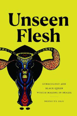 Unseen Flesh: Gynecology and Black Queer Worth-Making in Brazil cover