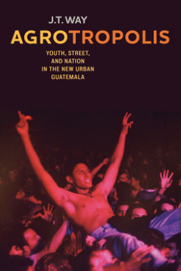 Agrotropolis: Youth, Street, and Nation in the New Urban Guatemala cover