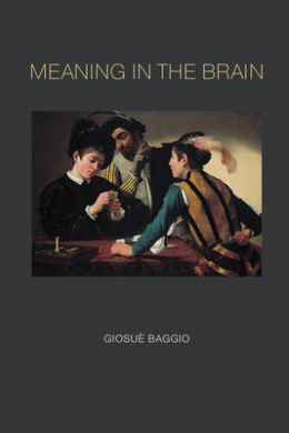 Meaning in the Brain (Meaning in the Brain) cover