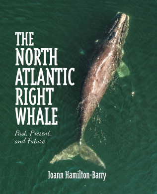 https://scientificbooks.net/sb/07w25IH80Rbw8FsHmV.jpeg