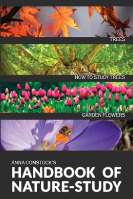 https://scientificbooks.net/sb/0QTBOv6QFGisB5kHiQ.jpeg