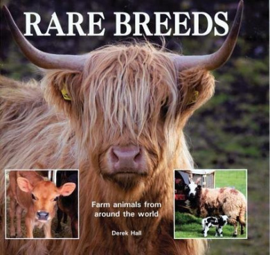 https://scientificbooks.net/sb/0hEkeVLLQXpymW3pfO.jpeg