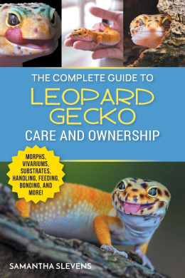 https://scientificbooks.net/sb/0kKw1ayBui8VuQkDsq.jpeg