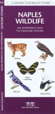https://scientificbooks.net/sb/0o2Qzs0kyihKFOxzLE.jpeg