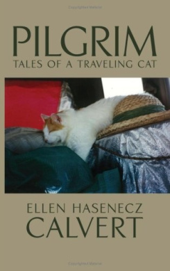 https://scientificbooks.net/sb/0oVq8QZWmCOI0zAouC.jpeg