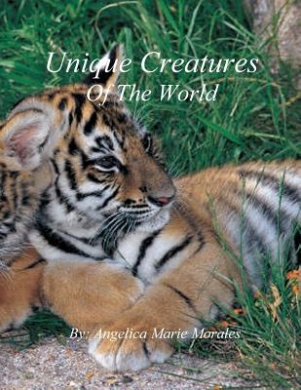https://scientificbooks.net/sb/0qKw2WD5Lb0BBsZZzu.jpeg