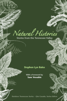 https://scientificbooks.net/sb/0sNrM0HHPru16PBwbU.jpeg