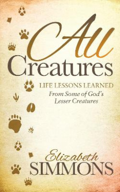 https://scientificbooks.net/sb/0tbDeuiq7UZR0NBkZq.jpeg