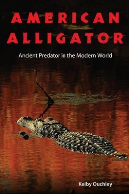 https://scientificbooks.net/sb/11uZFsqlsLOGfm5HlT.jpeg