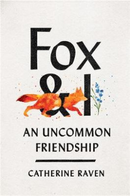https://scientificbooks.net/sb/13jAFHIx6PR9OOHd1v.jpeg