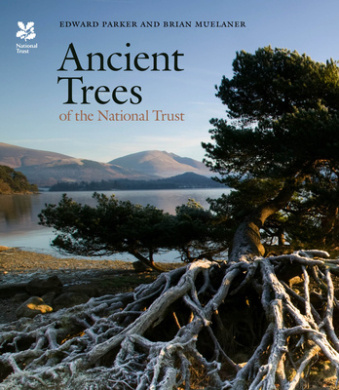https://scientificbooks.net/sb/1QcLJDkX2iBXB7P3HI.jpeg