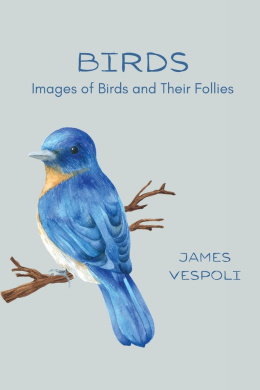https://scientificbooks.net/sb/1bpQuq3gLd6hCruQcH.jpeg