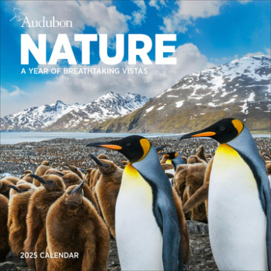 https://scientificbooks.net/sb/1lHOAAqoiUksQnKNtn.jpeg