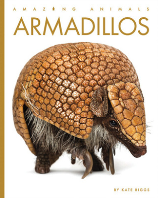 https://scientificbooks.net/sb/1uTffUfgdSuSdbBHbv.jpeg