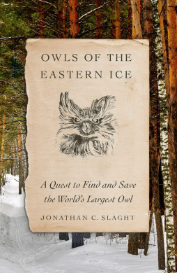 https://scientificbooks.net/sb/1wLPLZyHF7gaXfuIfT.jpeg