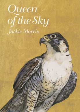 https://scientificbooks.net/sb/20iKJaYLqvr8lZ62X7.jpeg