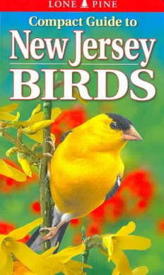 https://scientificbooks.net/sb/20xgKMfC6Jf7Tm1pOX.jpeg