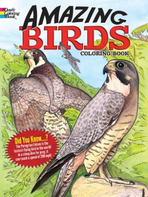 https://scientificbooks.net/sb/2C1iRQghy8XnrrwM3a.jpeg