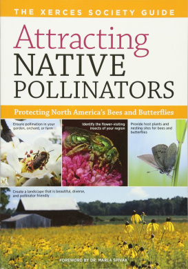 https://scientificbooks.net/sb/2DvDkwdfhwA6Uz0HBM.jpeg