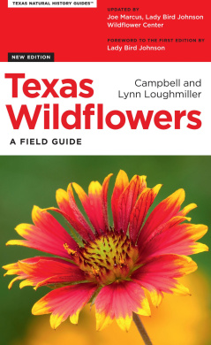 https://scientificbooks.net/sb/2MFhdLEU1Y2ii3GNes.jpeg