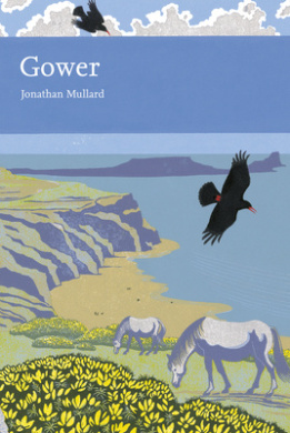 https://scientificbooks.net/sb/2O3EiH470AEt8AP0Ej.jpeg