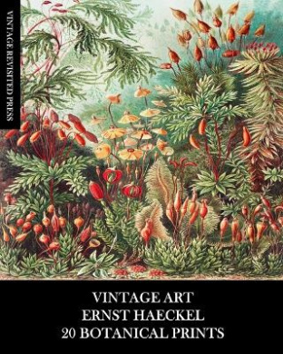https://scientificbooks.net/sb/2PK2BaxExuLydZ6fL7.jpeg