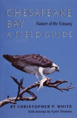https://scientificbooks.net/sb/2Y6yNGLjCH1b9xJBXs.jpeg