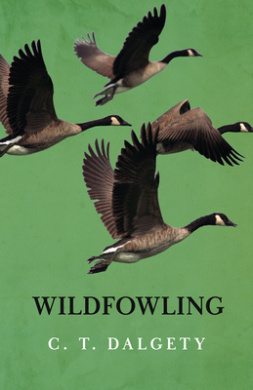 https://scientificbooks.net/sb/2YUpXnQK8crPXFNWaK.jpeg