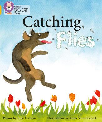 https://scientificbooks.net/sb/2cIE52NmOqPovWpvu0.jpeg