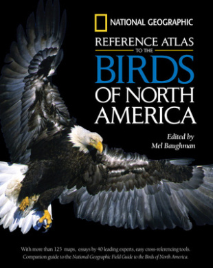 https://scientificbooks.net/sb/2k0s1glgbXgucwMA6Z.jpeg