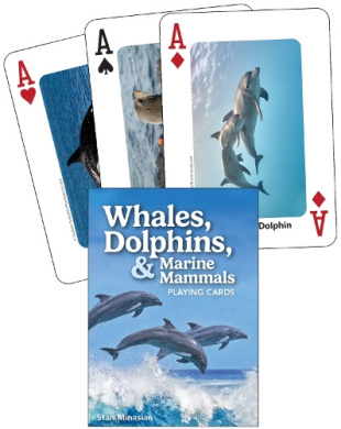https://scientificbooks.net/sb/2um2PC6TR6d0BDIwln.jpeg