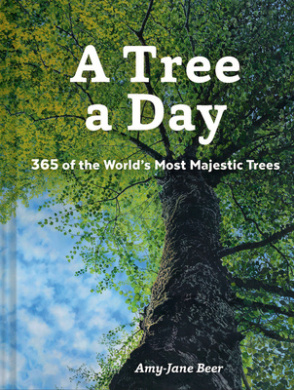 https://scientificbooks.net/sb/30NzNtueAJaiHoS0KB.jpeg