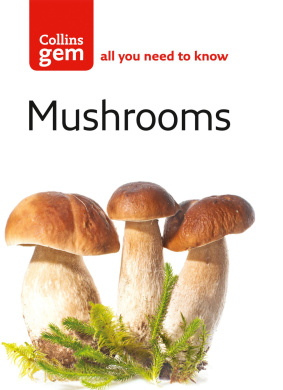 https://scientificbooks.net/sb/35kcHp74mL9MAElbum.jpeg
