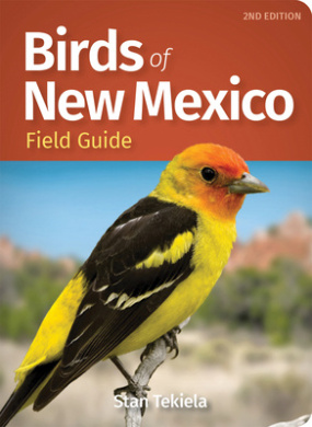 https://scientificbooks.net/sb/3CcvrOinF7z5zjjIJe.jpeg