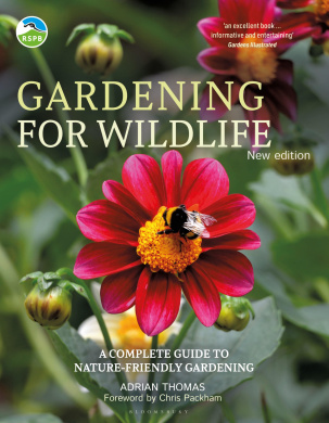 https://scientificbooks.net/sb/3HPRy1gQhhHwmRzZT7.jpeg