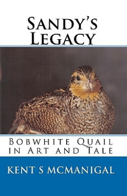 https://scientificbooks.net/sb/3OmcXgoQFYrwb2TNf8.jpeg